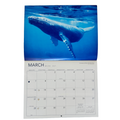 Calendar with a whale underwater image on March cover