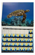 2025 Long's Hawaii Hawaiian Twelve Month Calendar (Choose)