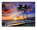Calendario de doce meses Islander Hawaii Hawaiian 2024 (elegir) 