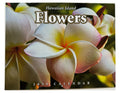 Islander Hawaii Hawaiian 2025 Twelve Month Calendar (Choose)