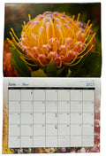 Islander Hawaii Hawaiian 2025 Twelve Month Calendar (Choose)