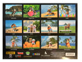 Islander Hawaii Hawaiian 2025 Twelve Month Calendar (Choose)