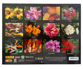 Back cover of Hawaiian Island Flowers 2026 Calendar showing 12 monthly images of tropical Hawaiian flowers including hibiscus, plumeria, proteas, orchids, and floral leis

