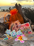 Small Hawaiian Themed 50 Piece Sticker & Cowrie Bracelet Gift Set