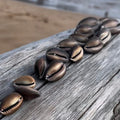 Serpent's Head Cowry Shells: Hand-Picked Treasures from Maui (Choose Qty)