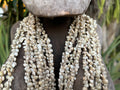 Natural Colored Small Umbonium Button Top  Shell Lei 37 Inch