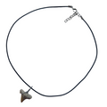 Necklace with a shark tooth pendant on a white background
