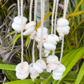  Makini Mask with puka shells