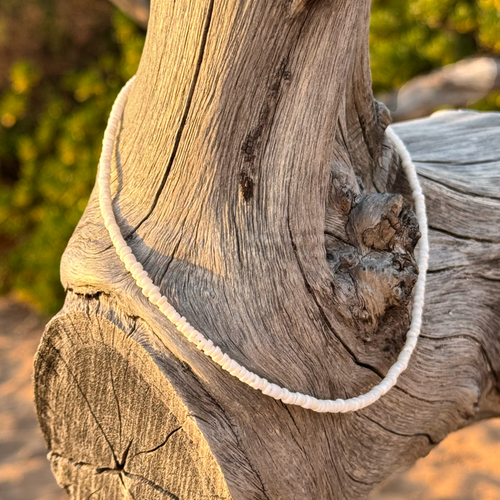 Mini puka shell necklace on driftwood in golden beach sunset lighting – 18 or 20 inch customizable boho jewelry.