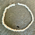 24 Inch Puka Shell Necklace