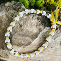 da Hawaiian Store Braided Bubble Shell and Kukui Wedding Lei