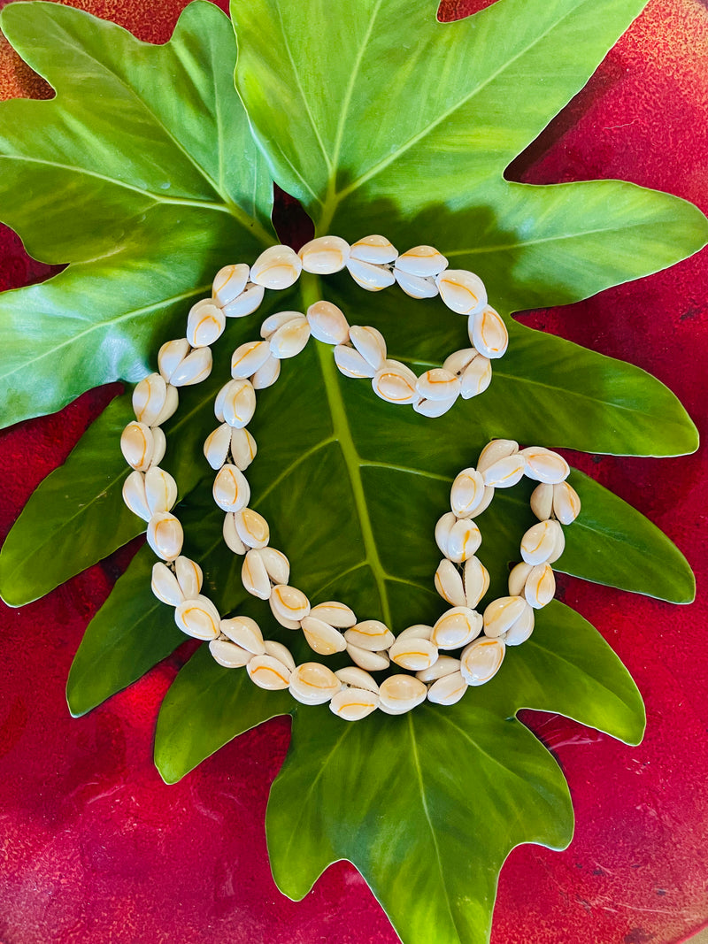 Cowrie Shell Lei