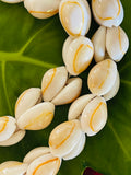 da Hawaiian Store Genuine Ring Top Cowrie Cowry Shell Lei