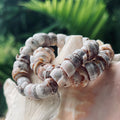 da Hawaiian Store Natural Cone Puka Shell Stretch Bracelet (Choose Color)