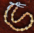 da Hawaiian Store Lei Necklace of Kukui Nuts and Mongo Shell (Choose Variety)