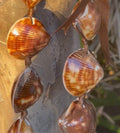 da Hawaiian Store Genuine Brown Clamshell Shell Lei Necklace