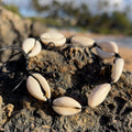 da Hawaiian Store Cowrie Shell Bracelet Anklet Black Cord (Choose Size)