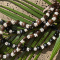 da Hawaiian Store Lei Necklace of Kukui Nuts and Mongo Shell (Choose Variety)